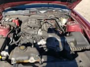 ✅ 2014 Ford Mustang V6 • VIN: 1ZVBP8AM4E5249333 • Лот: 85164365. Опубликован ранее на Copart с пробегом 115 370 миль. Бесплатный доступ к архиву аукционных продаж из США и подробный отчёт об истории автомобиля на DreamBid. Изображение 11.