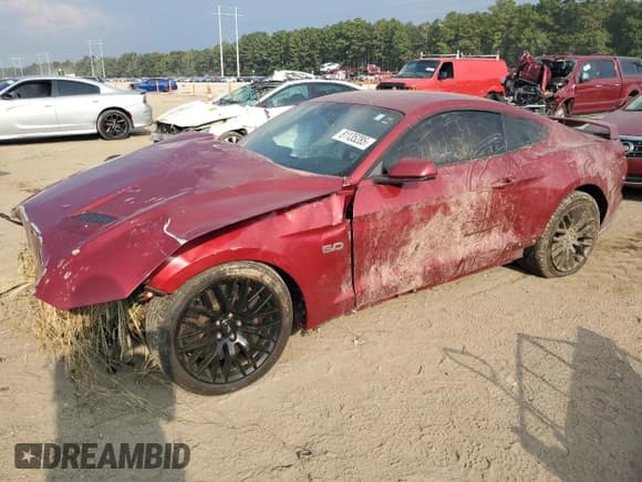 ✅ 2019 Ford Mustang GT Premium • VIN: 1FA6P8CF5K5166787 • Lot: 81135285. Listed on Copart with Not provided. Free auction sales archive from the USA and detailed vehicle history report at DreamBid. Image 1.