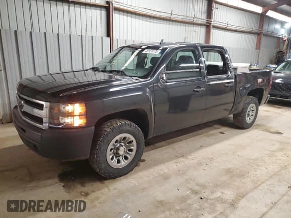 ✅ 2010 Chevrolet Silverado 1500 Work Truck • VIN: 3GCRKPE36AG285779 • Lot: 49158175. Listed on Copart with 135,594 mi. Free auction sales archive from the USA and detailed vehicle history report at DreamBid. Image 1.