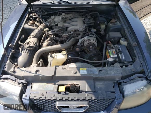 ✅ 2001 Ford Mustang Deluxe • VIN: 1FAFP44411F177879 • Lot: 67765685. Listed on Copart with 116,283 mi. Free auction sales archive from the USA and detailed vehicle history report at DreamBid. Image 11.