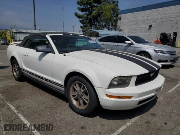✅ 2005 Ford Mustang Deluxe • VIN: 1ZVFT84NX55182674 • Lot: 54628895. Listed on Copart with 113,265 mi. Free auction sales archive from the USA and detailed vehicle history report at DreamBid. Image 4.