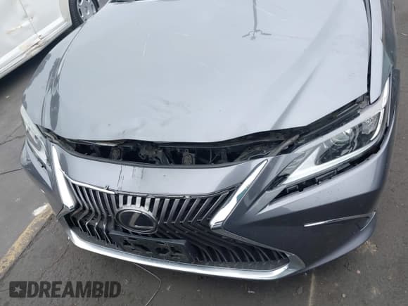 ✅ 2019 Lexus ES 350 • VIN: 58ABZ1B1XKU043495 • Lot: 42448372. Listed on IAAI with Not provided. Free auction sales archive from the USA and detailed vehicle history report at DreamBid. Image 12.
