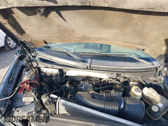 ✅ 2008 Ford F-150 XL • VIN: 1FTRW12W48FA04865 • Lot: 43055912. Listed on IAAI with 229,384 mi. Free auction sales archive from the USA and detailed vehicle history report at DreamBid. Image 10.