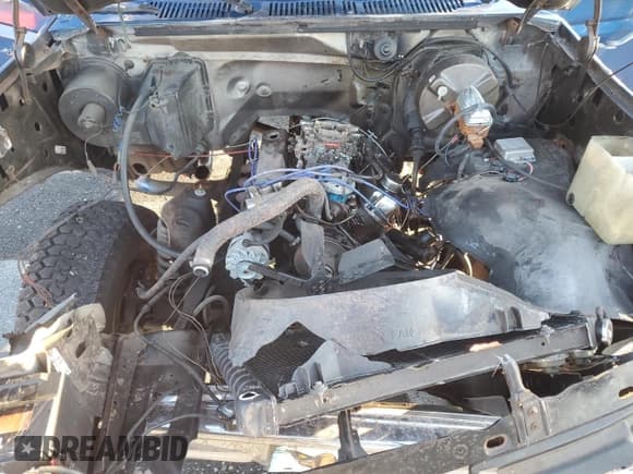 ✅ 1981 Ford F-150 • VIN: 2FTDF14F5BCA94005 • Лот: 86794734. Опубликован ранее на Copart с пробегом 274 662 миль. Бесплатный доступ к архиву аукционных продаж из США и подробный отчёт об истории автомобиля на DreamBid. Изображение 11.