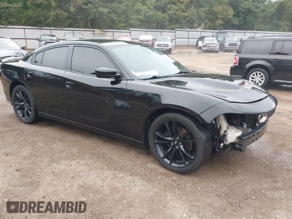 ✅ 2017 Dodge Charger R/T • VIN: 2C3CDXCT4HH598833 • Lot: 43550750. Listed on IAAI with 176,280 mi. Free auction sales archive from the USA and detailed vehicle history report at DreamBid. Image 1.