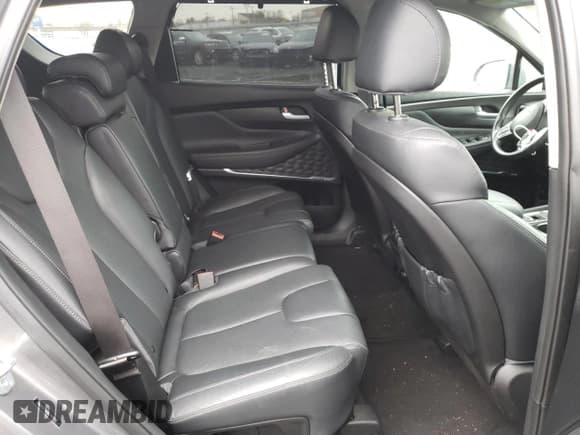 ✅ 2020 Hyundai Santa Fe SEL • VIN: 5NMS3CAA8LH145798 • Lot: 49169674. Wystawiony na Copart z przebiegiem 31 733 mil. Bezpłatny archiwum sprzedaży aukcyjnych z USA i szczegółowy raport historii pojazdu na DreamBid. Zdjęcie 11.