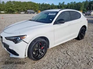 ✅ 2020 Alfa Romeo Stelvio Sport • VIN: ZASPAJAN9L7C90916 • Лот: 81315495. Опубликован ранее на Copart с пробегом 53 699 миль. Бесплатный доступ к архиву аукционных продаж из США и подробный отчёт об истории автомобиля на DreamBid. Изображение 1.
