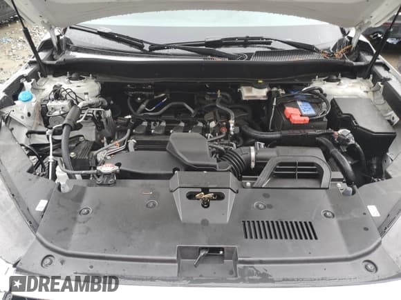 ✅ 2025 Honda CR-V EX-L • VIN: 7FARS4H72SE006725 • Lot: 81013985. Wystawiony na Copart z przebiegiem 18 090 mil. Bezpłatny archiwum sprzedaży aukcyjnych z USA i szczegółowy raport historii pojazdu na DreamBid. Zdjęcie 12.