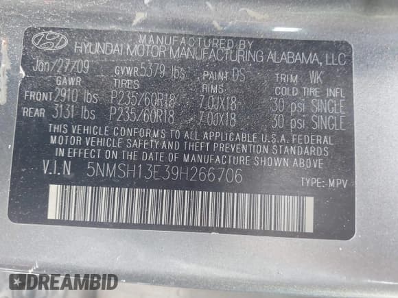 ✅ 2009 Hyundai Santa Fe Limited • VIN: 5NMSH13E39H266706 • Lot: 43670607. Listed on IAAI with 249,195 mi. Free auction sales archive from the USA and detailed vehicle history report at DreamBid. Image 9.