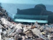 ✅ 2008 Chevrolet HHR LT • VIN: 3GNDA23D58S534826 • Lot: 40768502. Listed on IAAI with 159,674 mi. Free auction sales archive from the USA and detailed vehicle history report at DreamBid. Image 9.