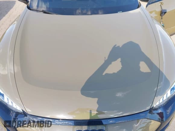 ✅ 2023 Audi e-tron GT Prestige • VIN: WAUEJBFWXP7006123 • Лот: 43752829. Опубликован ранее на IAAI с пробегом 14 351 миль. Бесплатный доступ к архиву аукционных продаж из США и подробный отчёт об истории автомобиля на DreamBid. Изображение 10.