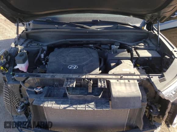 2021 Hyundai Palisade SEL с VIN KM8R4DHE3MU216048, выставлен на аукционе Copart как лот 73392054 с пробегом 46 468 миль миль и Списание • Salvage title. История ставок и продаж доступна на DreamBid. Изображение 12.