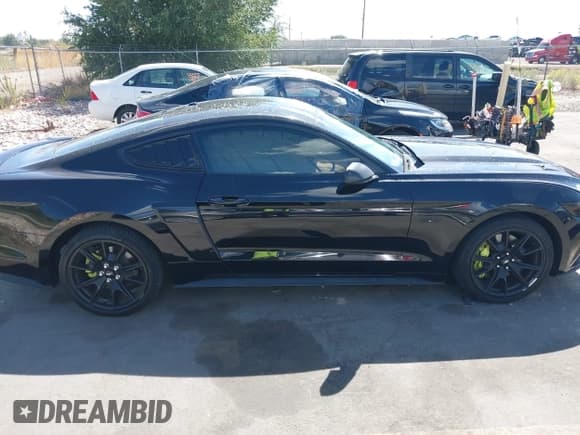✅ 2017 Ford Mustang GT • VIN: 1FA6P8CF0H5354030 • Lot: 43176051. Listed on IAAI with 33,678 mi. Free auction sales archive from the USA and detailed vehicle history report at DreamBid. Image 13.
