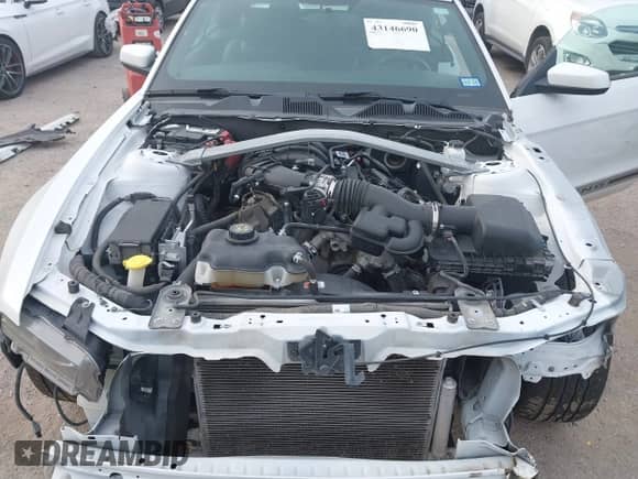 2014 Ford Mustang V6 с VIN 1ZVBP8EM6E5320297, выставлен на аукционе IAAI как лот 43146690 с пробегом 160 174 миль миль и . История ставок и продаж доступна на DreamBid. Изображение 10.