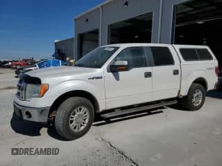 ✅ 2010 Ford F-150 XL • VIN: 1FTFW1EV2AFB94676 • Lot: 85940885. Listed on Copart with 193,576 mi. Free auction sales archive from the USA and detailed vehicle history report at DreamBid. Image 1.