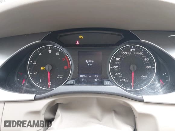 ✅ 2010 Audi A4 Premium Plus • VIN: WAUFFAFL2AN016220 • Lot: 43029675. Listed on IAAI with 124,551 mi. Free auction sales archive from the USA and detailed vehicle history report at DreamBid. Image 7.