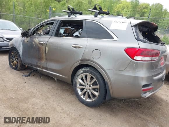 ✅ 2017 Kia Sorento SX • VIN: 5XYPKDA50HG307796 • Lot: 42271480. Listed on IAAI with Not provided. Free auction sales archive from the USA and detailed vehicle history report at DreamBid. Image 3.