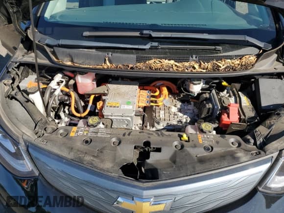 ✅ 2017 Chevrolet Bolt EV LT • VIN: 1G1FW6S04H4186891 • Лот: 80960925. Опубликован ранее на Copart с пробегом 85 833 миль. Бесплатный доступ к архиву аукционных продаж из США и подробный отчёт об истории автомобиля на DreamBid. Изображение 11.