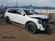 ✅ 2025 Kia Telluride SX X-Line • VIN: 5XYP5DGC6SG594579 • Lot: 48761095. Listed on Copart with 466 mi. Free auction sales archive from the USA and detailed vehicle history report at DreamBid. Image 4.