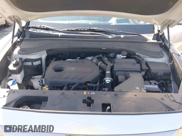 ✅ 2020 Hyundai Santa Fe Limited • VIN: 5NMS5CAA0LH186839 • Лот: 41981573. Опубликован ранее на IAAI с пробегом 68 751 миль. Бесплатный доступ к архиву аукционных продаж из США и подробный отчёт об истории автомобиля на DreamBid. Изображение 10.