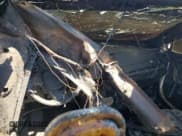 ✅ 2019 Honda CR-V EX-L • VIN: 2HKRW2H86KH615508 • Лот: 65019125. Опубликован ранее на Copart с пробегом Не указан. Бесплатный доступ к архиву аукционных продаж из США и подробный отчёт об истории автомобиля на DreamBid. Изображение 8.