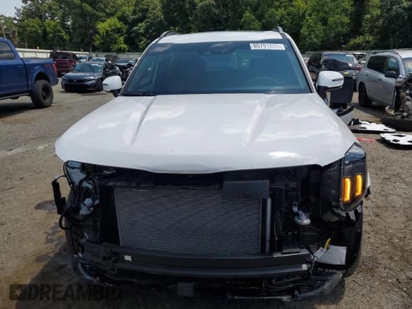 ✅ 2025 Kia Telluride SX X-Line • VIN: 5XYP5DGC4SG567736 • Lot: 65791825. Listed on Copart with 5,096 mi. Free auction sales archive from the USA and detailed vehicle history report at DreamBid. Image 5.