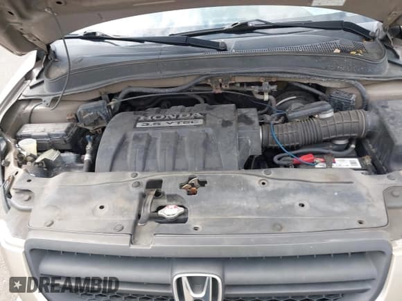 ✅ 2005 Honda Pilot EX-L • VIN: 5FNYF18535B053825 • Lot: 42482002. Listed on IAAI with 230,606 mi. Free auction sales archive from the USA and detailed vehicle history report at DreamBid. Image 10.