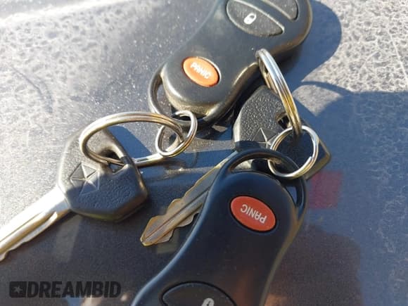 ✅ 2000 Dodge Durango • VIN: 1B4HS28N8YF266719 • Lot: 43621339. Wystawiony na IAAI z przebiegiem 289 719 mil. Bezpłatny archiwum sprzedaży aukcyjnych z USA i szczegółowy raport historii pojazdu na DreamBid. Zdjęcie 11.