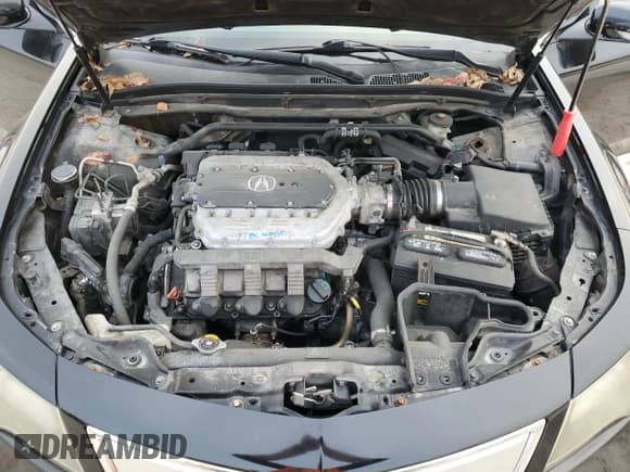 ✅ 2013 Acura TL Advance • VIN: 19UUA9F71DA002302 • Лот: 86651764. Опубликован ранее на Copart с пробегом Не указан. Бесплатный доступ к архиву аукционных продаж из США и подробный отчёт об истории автомобиля на DreamBid. Изображение 12.