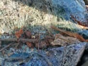 ✅ 2019 Lincoln Nautilus Standard • VIN: 2LMPJ6J98KBL28408 • Lot: 62037905. Listed on Copart with Not provided. Free auction sales archive from the USA and detailed vehicle history report at DreamBid. Image 9.