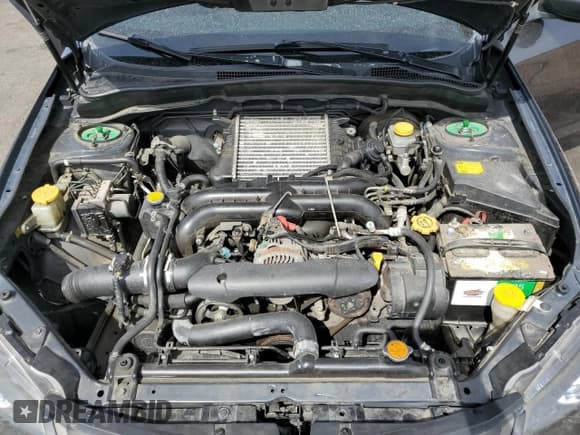 ✅ 2009 Subaru WRX w/Premium Pkg • VIN: JF1GE76629G502331 • Lot: 66323605. Listed on Copart with 144,235 mi. Free auction sales archive from the USA and detailed vehicle history report at DreamBid. Image 11.