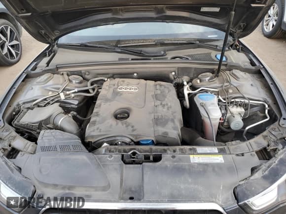 ✅ 2014 Audi A5 Premium Plus • VIN: WAUJFAFH6EN011517 • Лот: 74708034. Опубликован ранее на Copart с пробегом 61 797 миль. Бесплатный доступ к архиву аукционных продаж из США и подробный отчёт об истории автомобиля на DreamBid. Изображение 11.