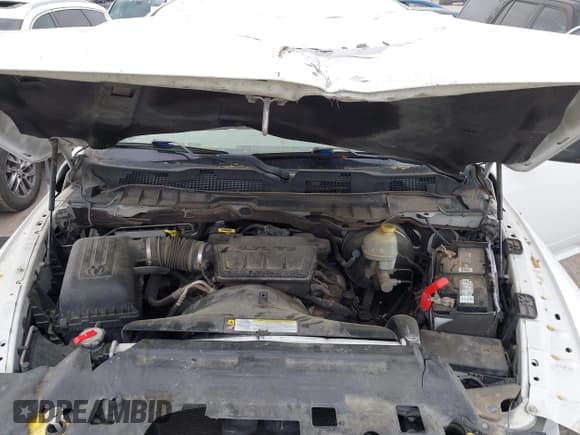 ✅ 2010 Dodge 1500 SLT • VIN: 1D7RB1GP6AS195253 • Lot: 41917323. Wystawiony na IAAI z przebiegiem 239 061 mil. Bezpłatny archiwum sprzedaży aukcyjnych z USA i szczegółowy raport historii pojazdu na DreamBid. Zdjęcie 10.