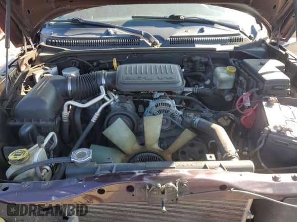 2005 Dodge Dakota ST z VIN 1D7HW28K95S363689, wystawiony jako Copart lot #60619324 z przebiegiem 175 854 mil mil oraz Szkoda całkowita • Salvage title. Historia ofert i sprzedaży dostępna na DreamBid. Obrazek 12.