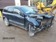 ✅ 2011 Jeep Grand Cherokee Laredo • VIN: 1J4RR4GG1BC701763 • Lot: 43515581. Wystawiony na IAAI z przebiegiem 164 294 mil. Bezpłatny archiwum sprzedaży aukcyjnych z USA i szczegółowy raport historii pojazdu na DreamBid. Zdjęcie 1.