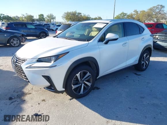 ✅ 2019 Lexus NX 300h • VIN: JTJBJRBZ2K2109540 • Лот: 41713515. Опубликован ранее на IAAI с пробегом 42 790 миль. Бесплатный доступ к архиву аукционных продаж из США и подробный отчёт об истории автомобиля на DreamBid. Изображение 2.