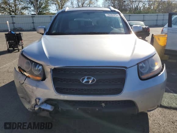 ✅ 2008 Hyundai Santa Fe SE • VIN: 5NMSH13E08H216313 • Lot: 76393234. Listed on Copart with 161,928 mi. Free auction sales archive from the USA and detailed vehicle history report at DreamBid. Image 5.