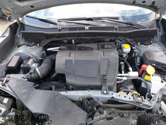 ✅ 2024 Subaru Forester Premium • VIN: JF2SKADC2RH503185 • Lot: 42178360. Listed on IAAI with 23,250 mi. Free auction sales archive from the USA and detailed vehicle history report at DreamBid. Image 10.