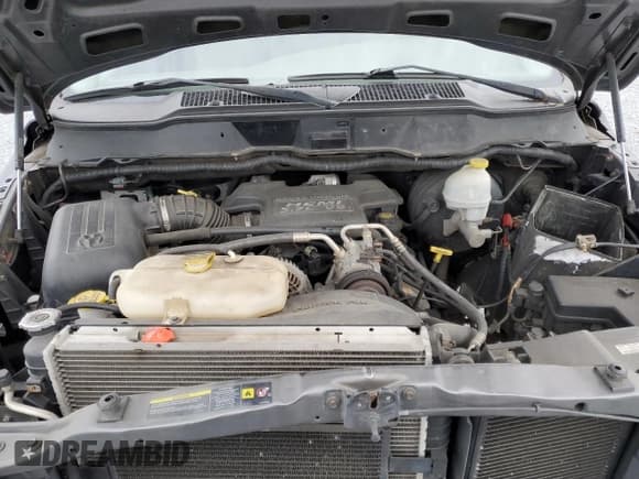 ✅ 2004 Dodge 1500 SLT • VIN: 1D7HA18D54S710461 • Лот: 74561934. Опубликован ранее на Copart с пробегом Не указан. Бесплатный доступ к архиву аукционных продаж из США и подробный отчёт об истории автомобиля на DreamBid. Изображение 11.