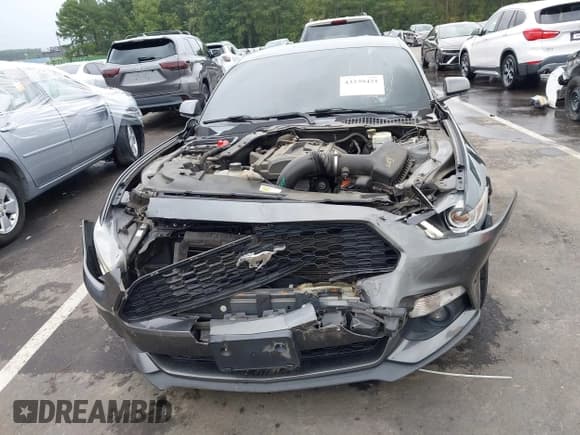 ✅ 2016 Ford Mustang EcoBoost • VIN: 1FA6P8TH0G5251707 • Lot: 43239421. Listed on IAAI with 101,533 mi. Free auction sales archive from the USA and detailed vehicle history report at DreamBid. Image 6.