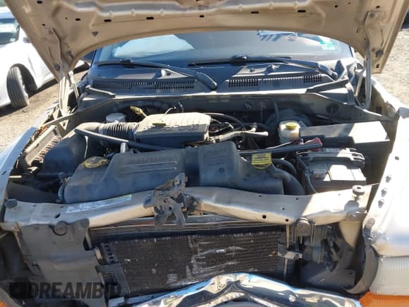 ✅ 2004 Dodge Dakota SLT • VIN: 1D7HL48N14S682517 • Lot: 43673584. Listed on IAAI with 169,891 mi. Free auction sales archive from the USA and detailed vehicle history report at DreamBid. Image 10.