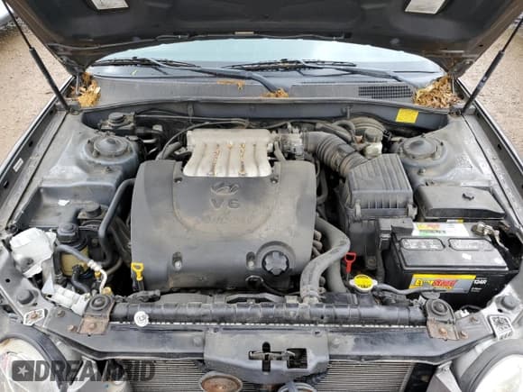 ✅ 2004 Hyundai Sonata GLS • VIN: KMHWF35H04A954560 • Lot: 58205445. Wystawiony na Copart z przebiegiem 108 911 mil. Bezpłatny archiwum sprzedaży aukcyjnych z USA i szczegółowy raport historii pojazdu na DreamBid. Zdjęcie 11.