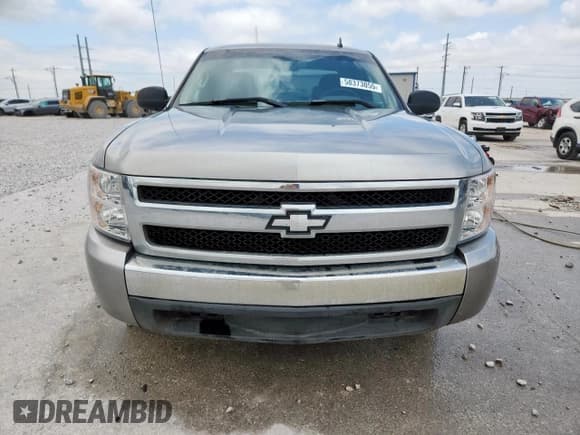 ✅ 2007 Chevrolet Silverado 1500 Work Truck • VIN: 2GCEC19C671654029 • Lot: 58373055. Listed on Copart with 226,751 mi. Free auction sales archive from the USA and detailed vehicle history report at DreamBid. Image 5.