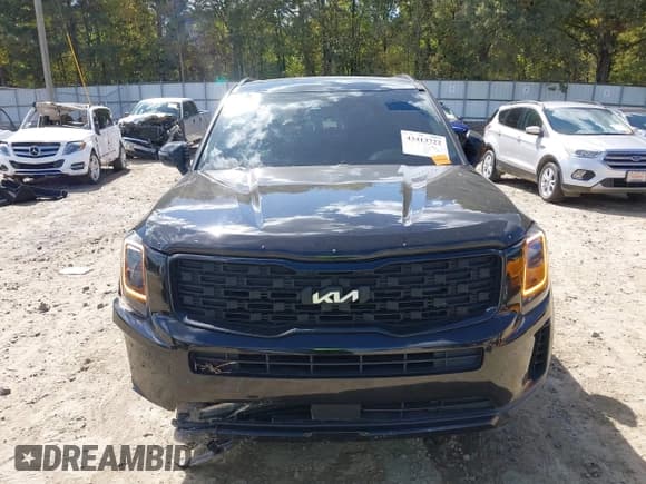 ✅ 2022 Kia Telluride EX • VIN: 5XYP3DHC8NG203134 • Lot: 43413722. Wystawiony na IAAI z przebiegiem 92 000 mil. Bezpłatny archiwum sprzedaży aukcyjnych z USA i szczegółowy raport historii pojazdu na DreamBid. Zdjęcie 12.