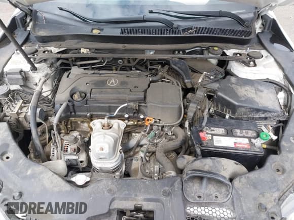 ✅ 2016 Acura TLX Technology • VIN: 19UUB1F56GA013295 • Lot: 42011330. Listed on IAAI with 98,256 mi. Free auction sales archive from the USA and detailed vehicle history report at DreamBid. Image 10.