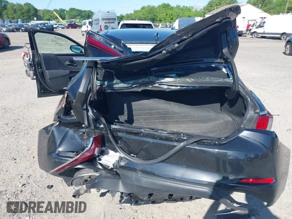 ✅ 2023 Lexus ES 350 • VIN: 58ADZ1B1XPU159764 • Lot: 42296506. Listed on IAAI with 38,672 mi. Free auction sales archive from the USA and detailed vehicle history report at DreamBid. Image 6.