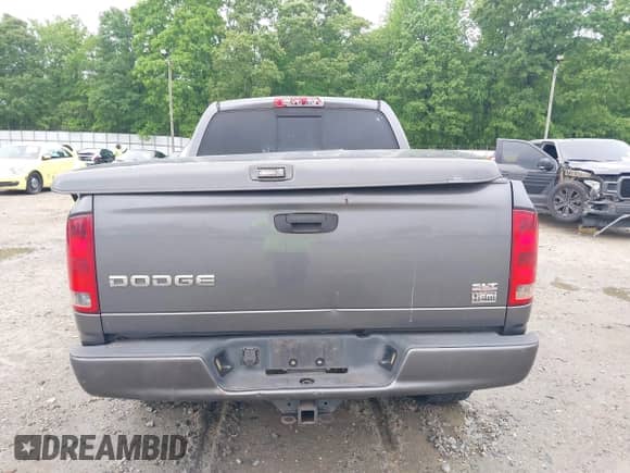 2003 Dodge 1500 ST z VIN 1D7HA18D53S347514, wystawiony jako IAAI lot #42099051 z przebiegiem 173 000 mil mil oraz . Historia ofert i sprzedaży dostępna na DreamBid. Obrazek 17.