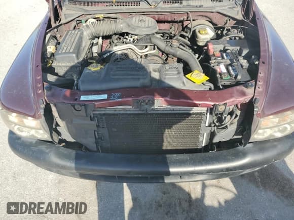 ✅ 2001 Dodge Dakota • VIN: 1B7GL22X01S341545 • Lot: 61017545. Wystawiony na Copart z przebiegiem 207 187 mil. Bezpłatny archiwum sprzedaży aukcyjnych z USA i szczegółowy raport historii pojazdu na DreamBid. Zdjęcie 11.