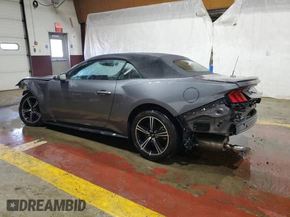 2024 Ford Mustang EcoBoost with VIN 1FAGP8UH1R5136541, listed as a Copart auction lot 59295935 with Not provided miles and Salvage title. Bid and sale history available at DreamBid. Image 2.