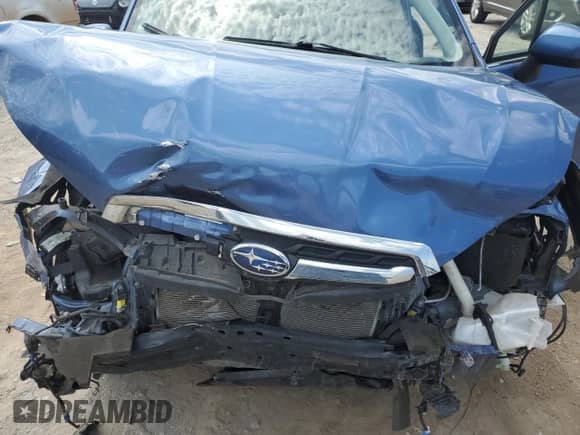 2017 Subaru Forester Limited with VIN JF2SJARC7HH578541, listed as a Copart auction lot 66165185 with 61,085 mi miles and Salvage title. Bid and sale history available at DreamBid. Image 12.